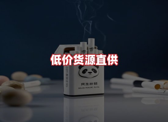 专业团队